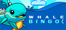 Immerse yourself in Whale Bingo, a luxurious game that takes players to the realm of underwater riches. In this thrilling adventure, you will hunt for legendary fortunes alongside majestic whales. With special balls and extra balls, you'll go in search of big prizes and accumulate progress towards the Whale Splash bonus, where you can win up to 15,000x your bet. It's time to dive deep into the adventure and claim your share of the underwater fortune.